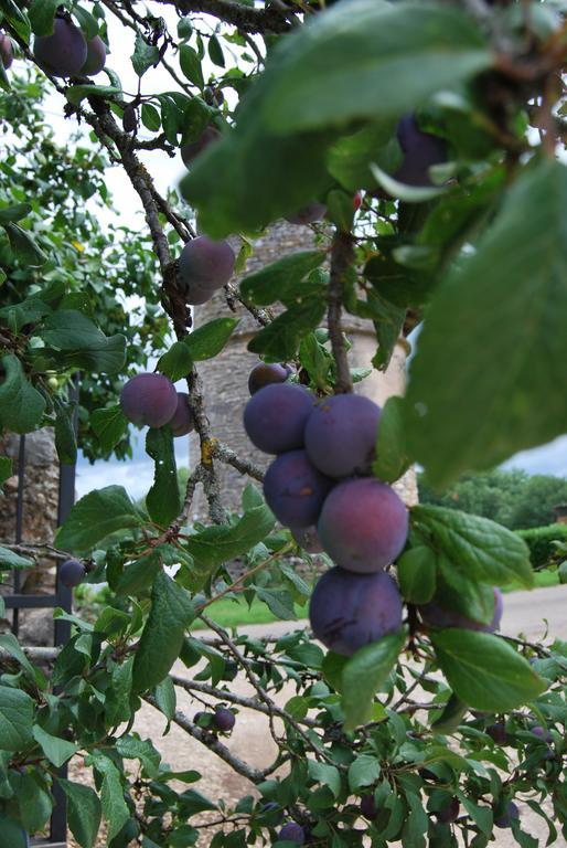 Mas De Garrigue Bed & Breakfast Calvignac Екстериор снимка